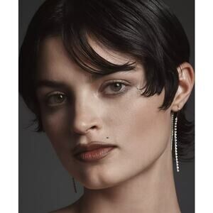 Anthropologie long crystal jewel hanging earring. Silver New